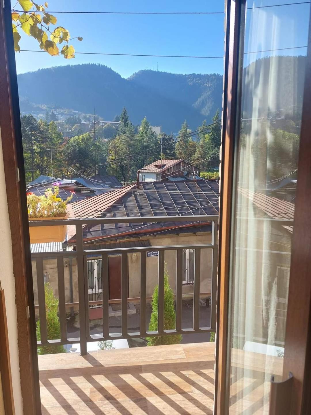 Guesthouse Saba Borjomi Exterior photo